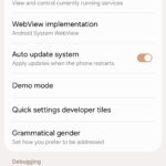 Screenshot_20250520_181436_Settings-2