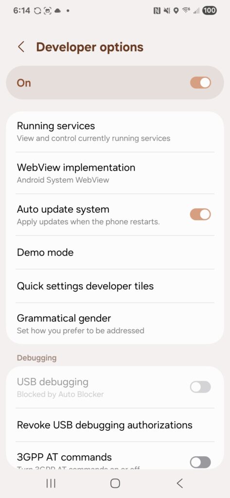 Screenshot_20250520_181436_Settings-2